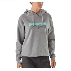 Patagonia Pastel P 6 Logo Uprisal Hooded Sweatshirt